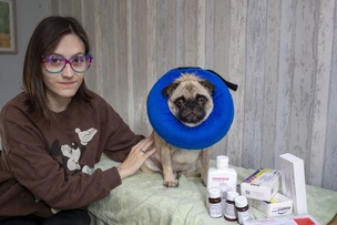 Main image for Fundraising bid to help poorly pug