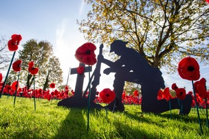 FLANDERS FIELD: Cawthorne craft group have a new poppy display called Flanders Field.Picture Shaun Colborn PD094592
