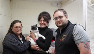 LIFELINE: Noah’s Ark Pet Rescue are asking for donations. Picture: Scott Firth.