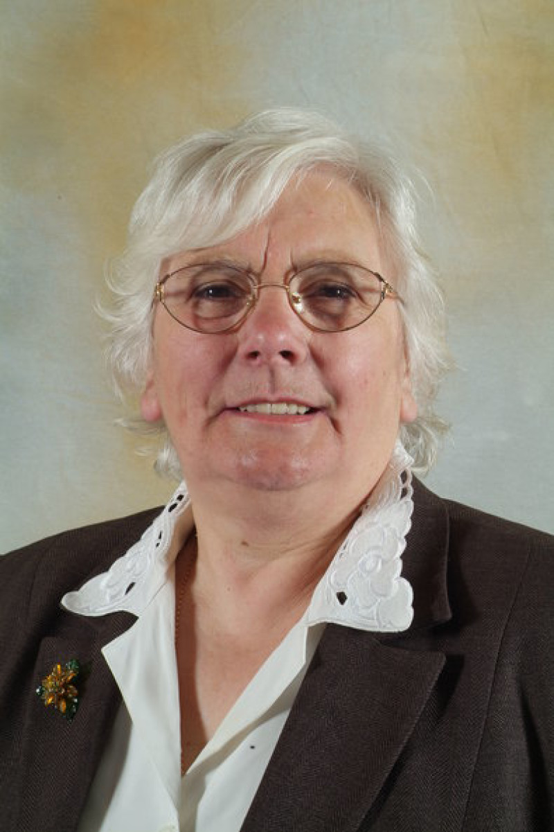 Main image for Mayor to launch poppy appeal