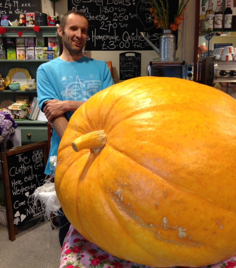 Main image for Beginner's luck for giant pumpkin grower