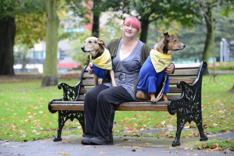 Main image for Barnsley woman creates pawfect business