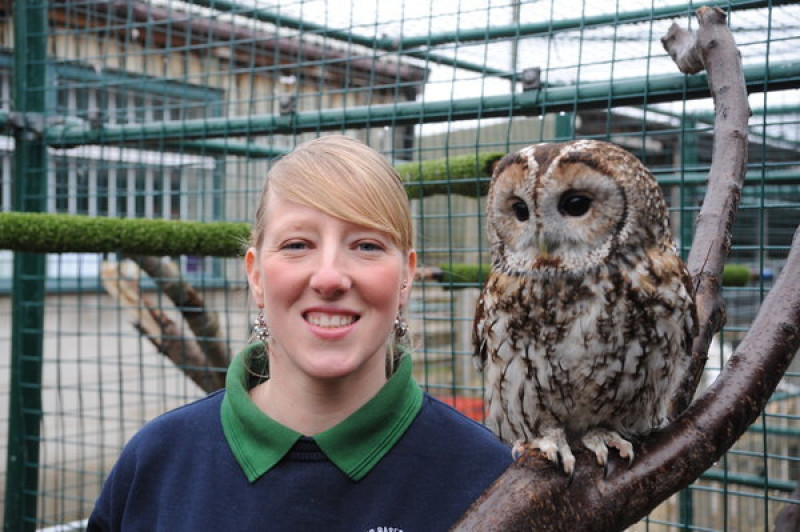 Main image for College applies for zoo licence