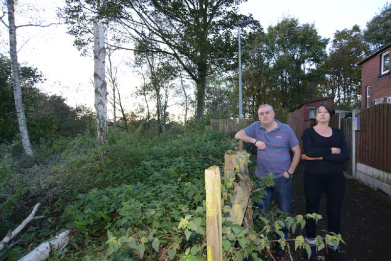 Main image for Residents claim tree poses danger after fences smashed