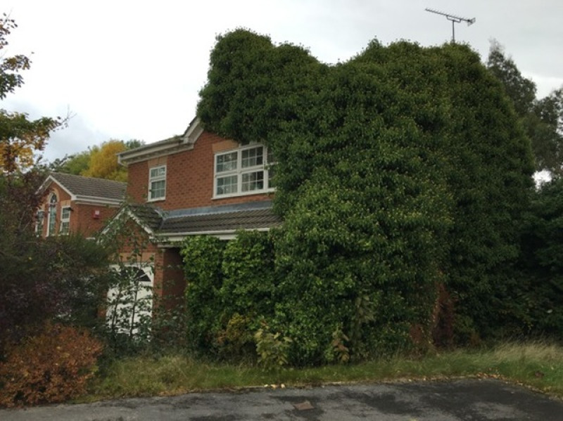 Main image for Residents anger over abandoned 'eyesore' house