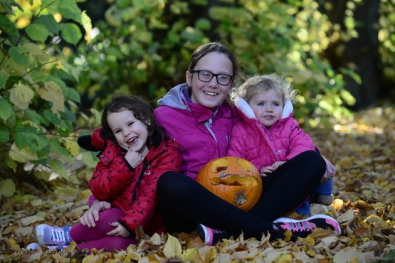Main image for Thousands of pumpkins carved at Cannon Hall