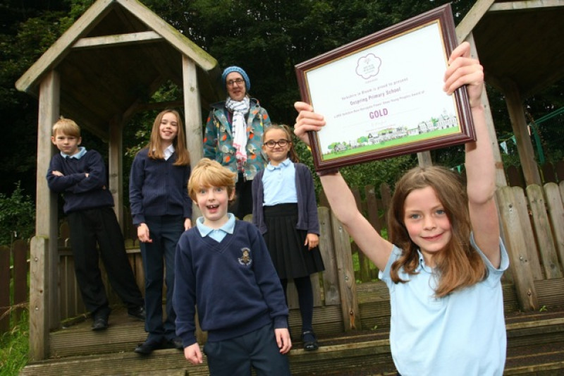Main image for Primary school claims award