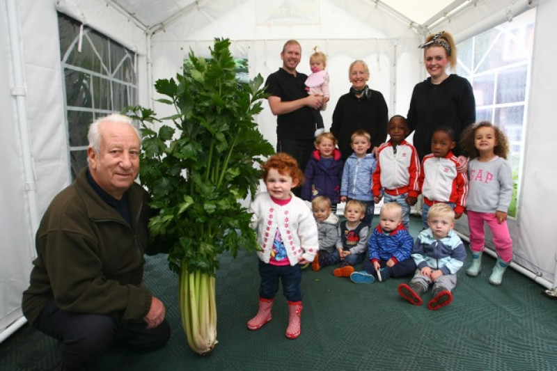 Main image for Local man grows monster celery