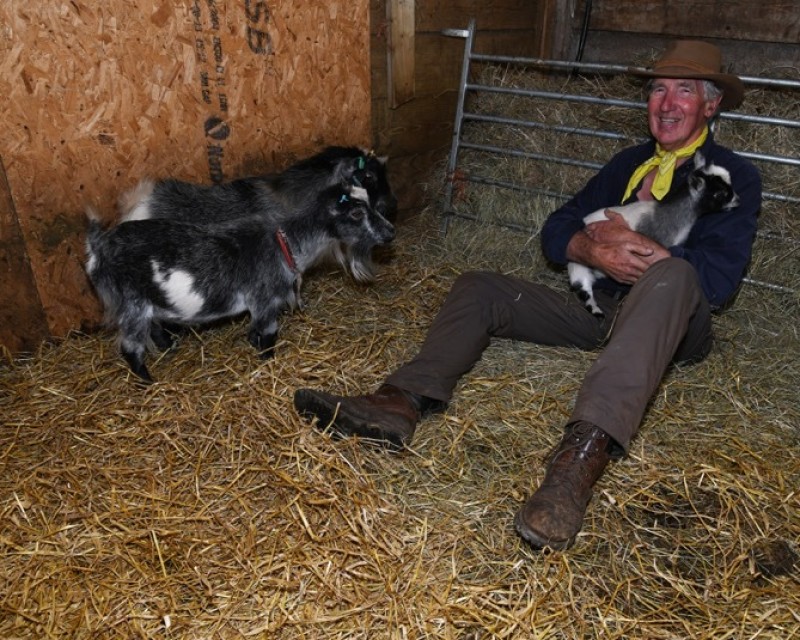 Main image for You’ve goat to be kidding...