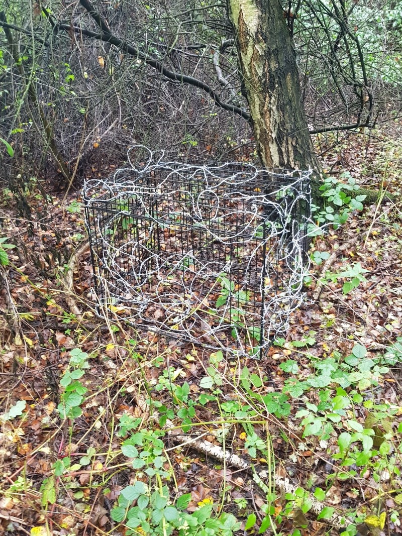 Main image for Grim discovery of animal traps at beauty spot