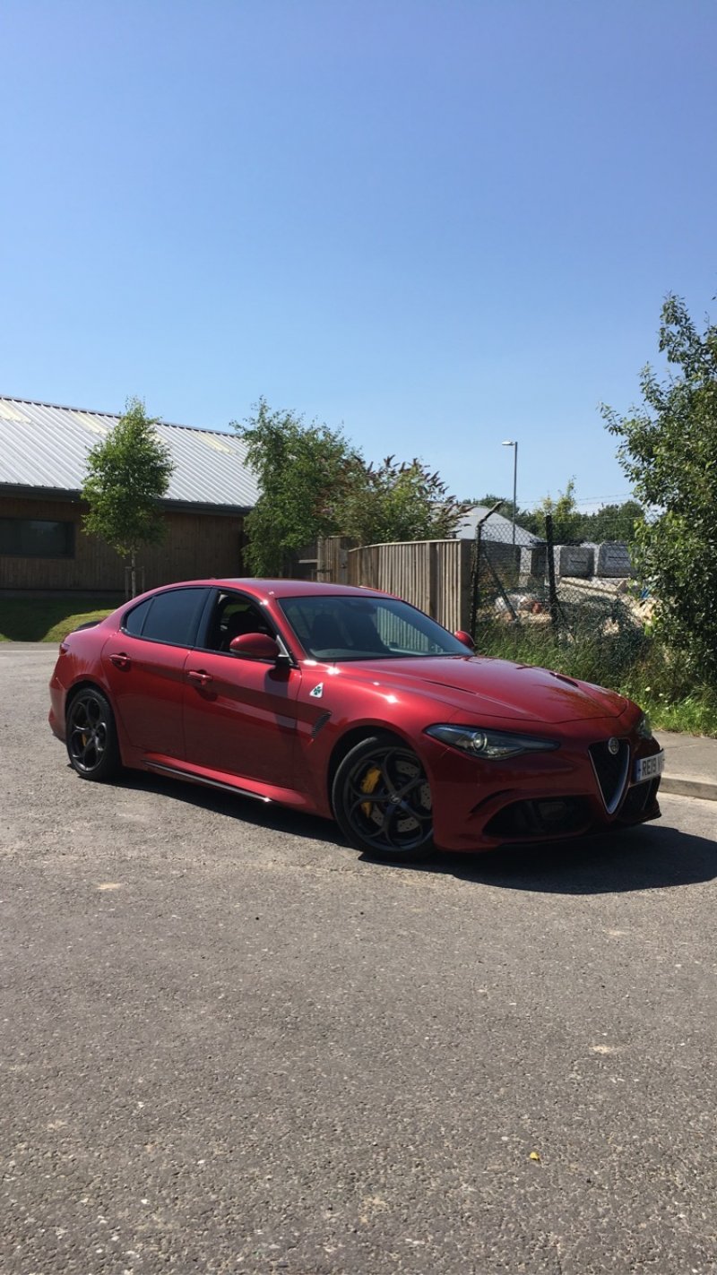 Main image for Quadrifoglio models turn Alfa's fortunes around