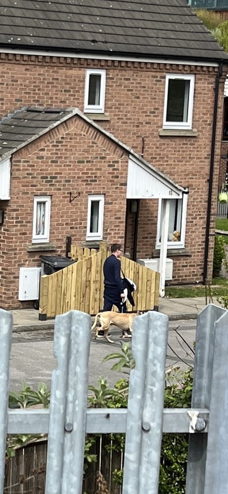 Main image for ‘Cowardly’ dog attacker banned from keeping animals