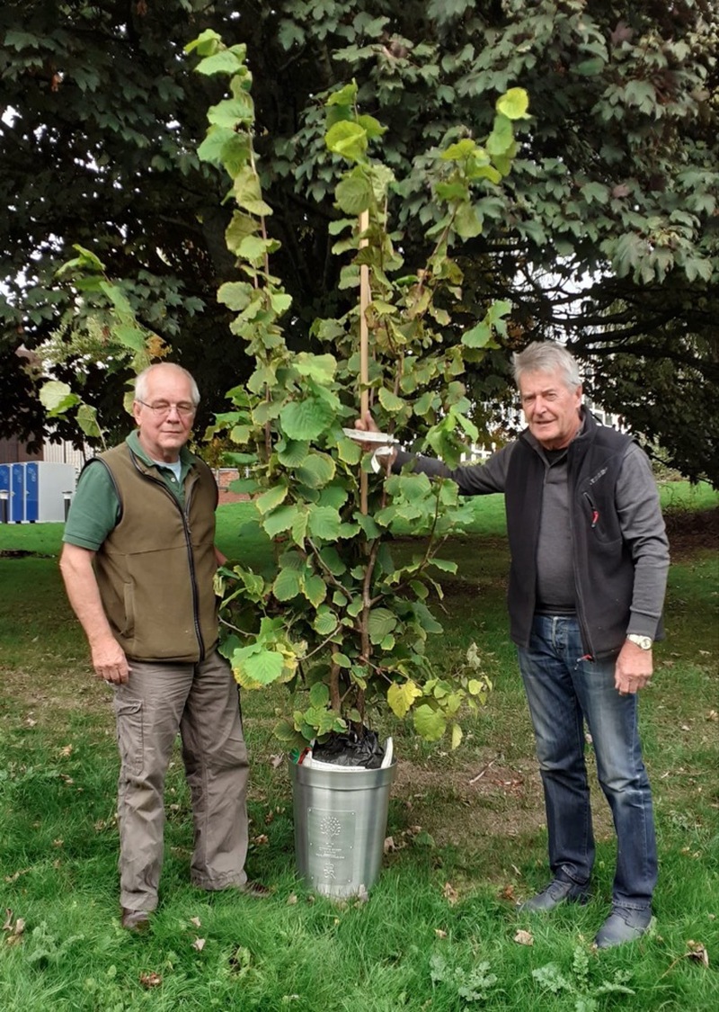 Main image for Council to receive honorary Queen tree