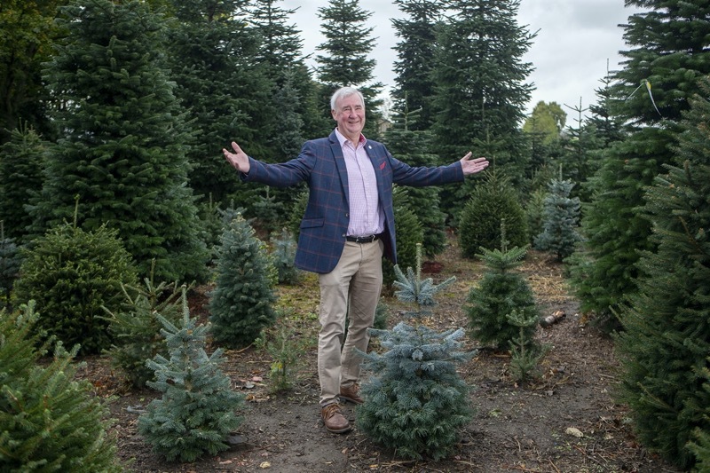 Main image for Tree-growing titans travel to town