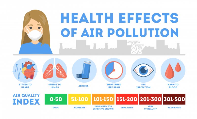 Main image for Two-thirds breathing in polluted air