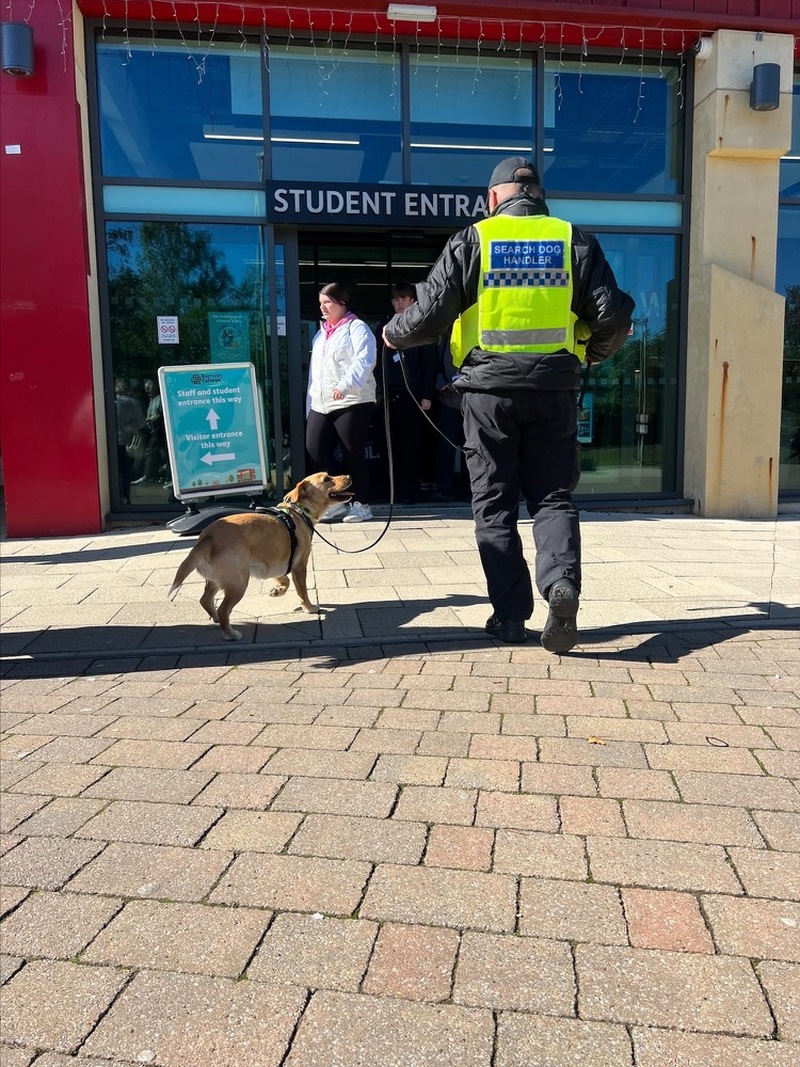 OPERATION: Drugs dog Elsa at the college.