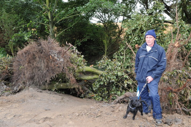 Main image for Fury over 'fly-tipped' oak trees