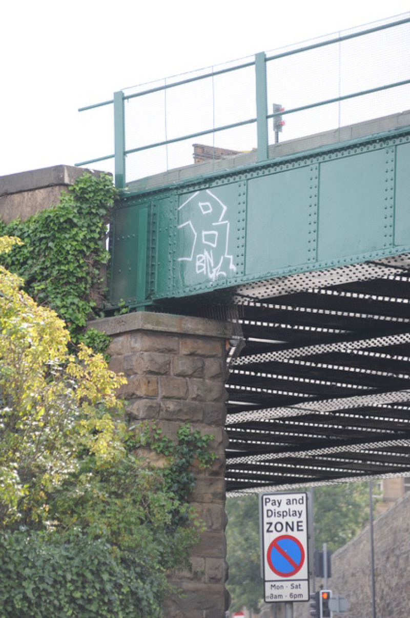 Main image for Vandal labelled an idiot and a moron