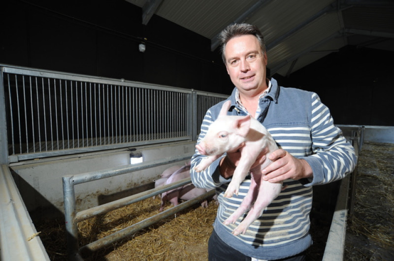 Main image for Pigs ditch blankets for underfloor heating