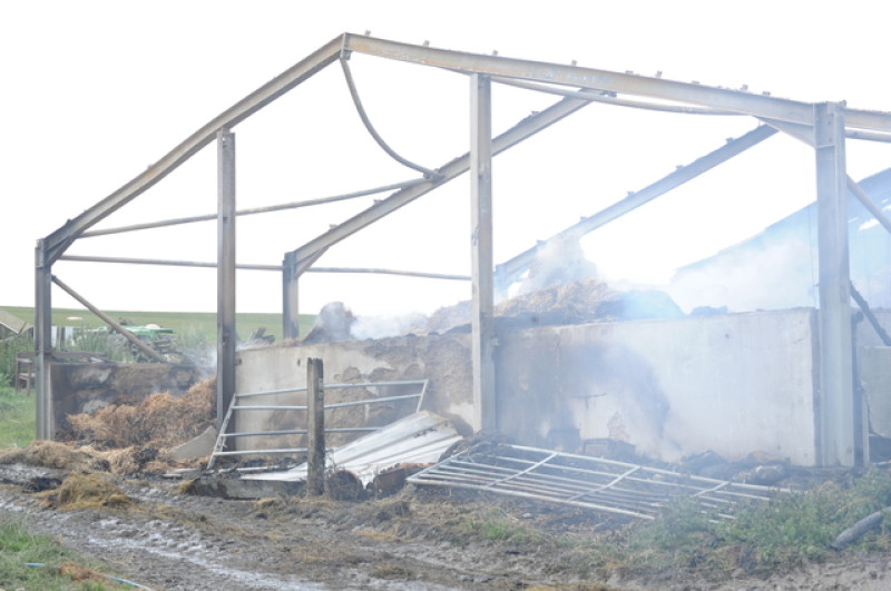 Main image for Ex-fireman calls for more hydrants after pigs die in fire