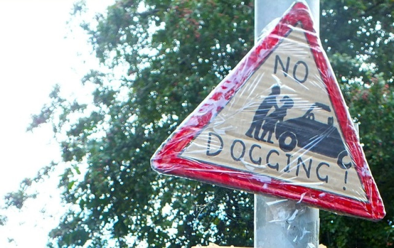 Main image for Mum has kittens over 'dogging'
