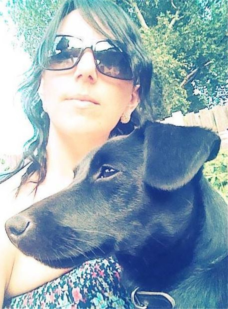 Main image for Dog lost from boarding kennel reunited with owners