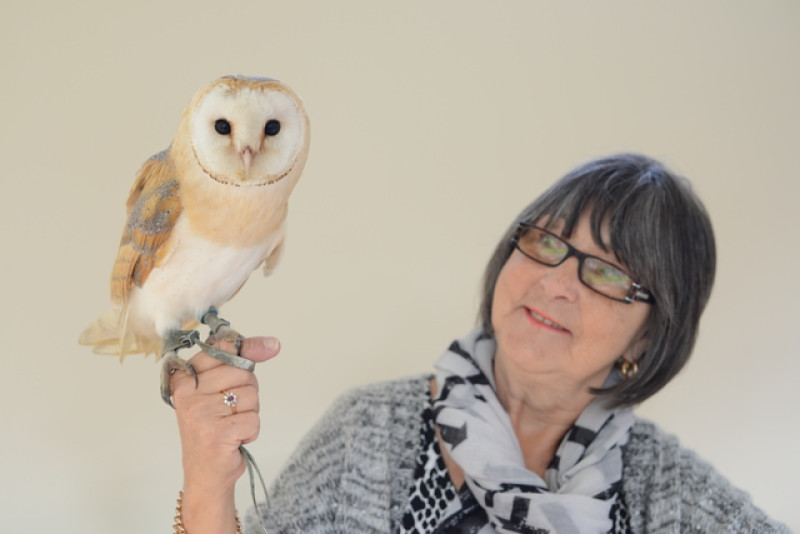 Main image for Owl returns home thanks to Chronicle readers