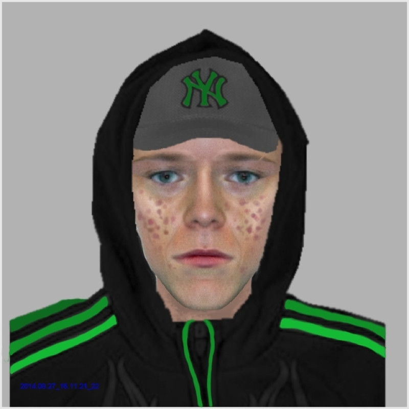 Main image for Teenage girl robbed in alleyway
