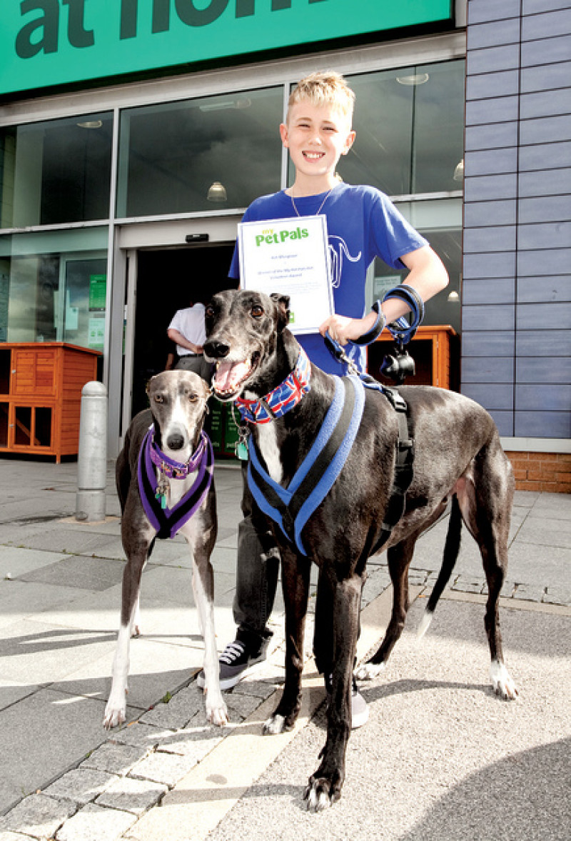 Main image for Dedicated dog lover named top volunteer