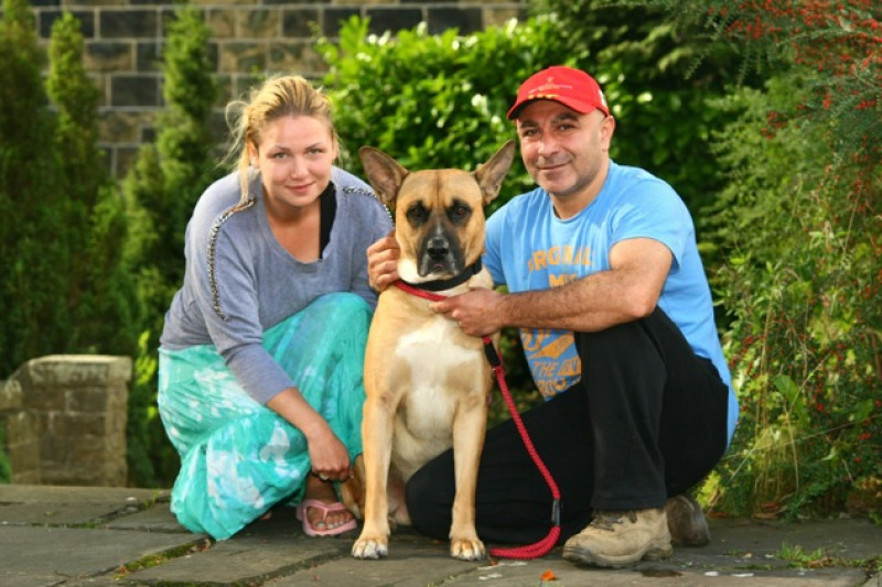 Main image for Kidnapped dog reunited with owners