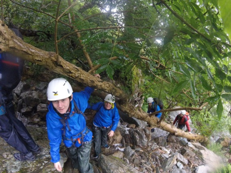 Main image for Record for NCS participation