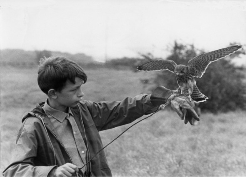 Main image for Charity screening for Kes