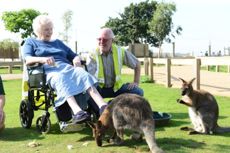 Main image for Chronicle supports dementia campaign