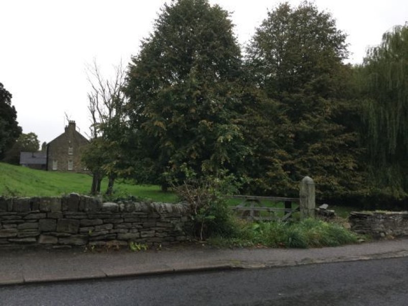 Main image for Housing plans will affect protected species