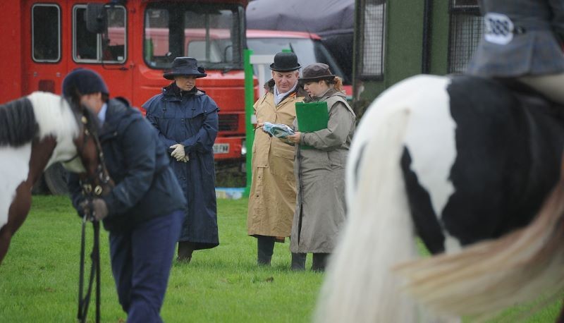 Main image for Scenes from Penistone Show