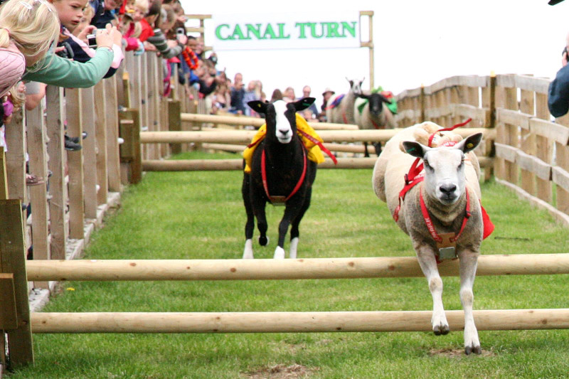 Main image for Farm proves to be firm family favourite in poll