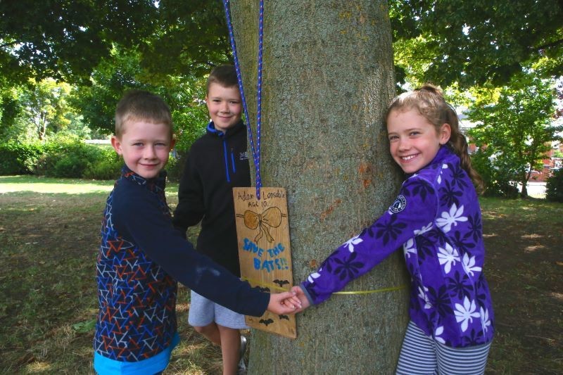 Main image for Campaigners back save park group