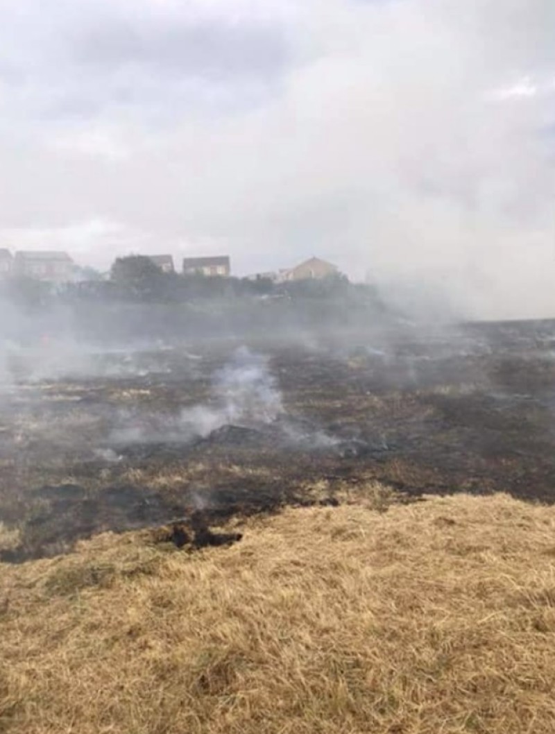 Main image for Education seen as key to stopping fire starters