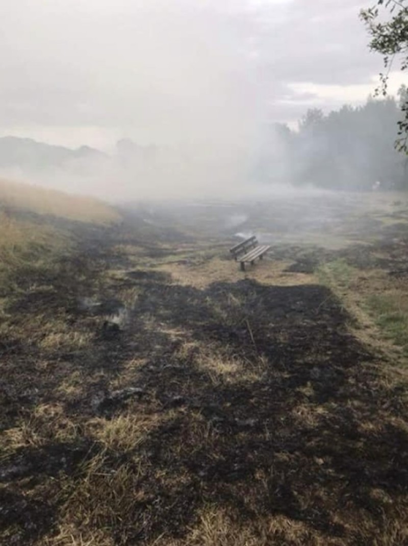 Main image for Deliberate grass fire rise has massive impact