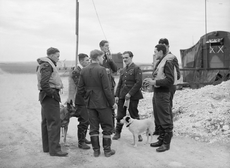 Main image for Battle of Britain pilot remembered