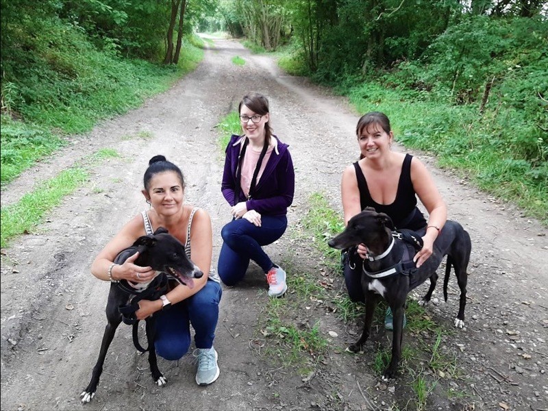 Main image for Volunteers to raise cash for animal charity