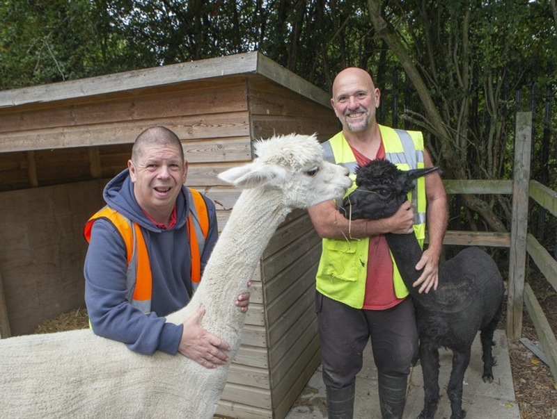 Main image for Community farm told to find new venue