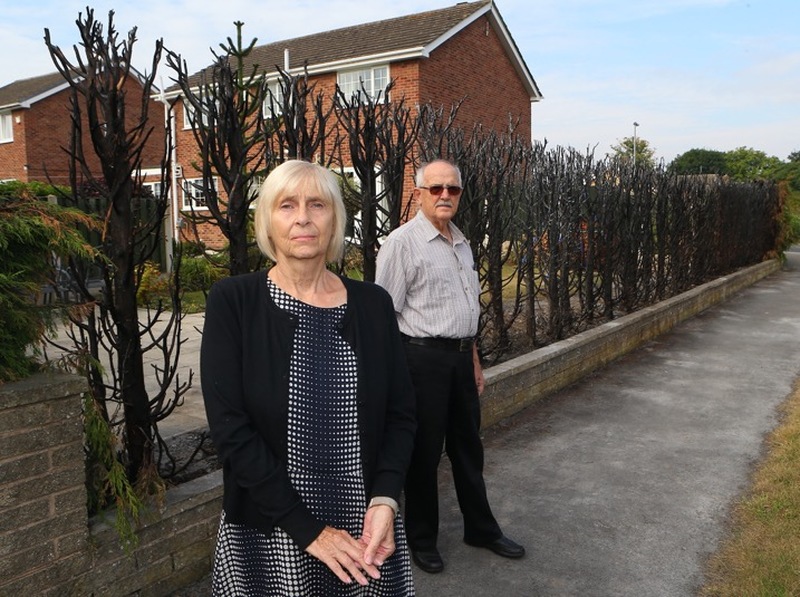 Main image for Yobs blasted by councillors