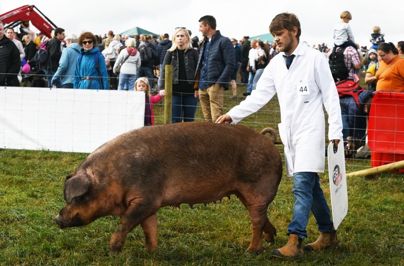 Main image for Penistone Show’s success lauded by its organisers