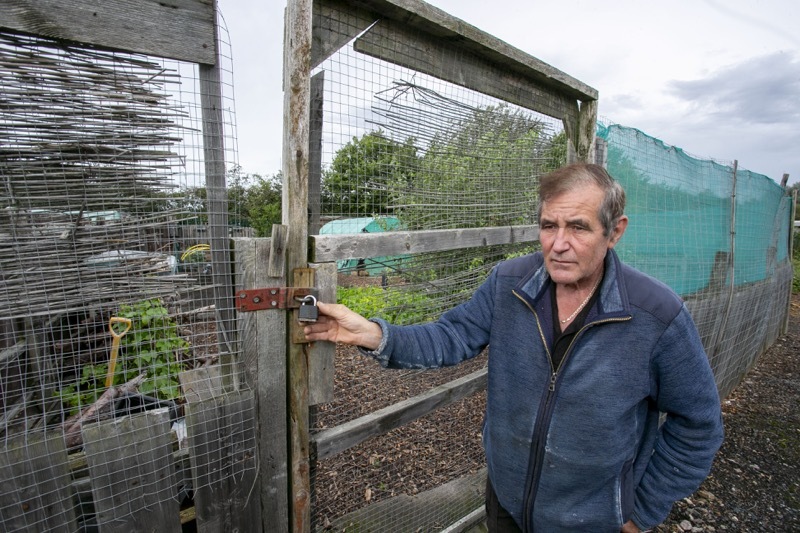 Main image for Break-ins terrify allotment holders