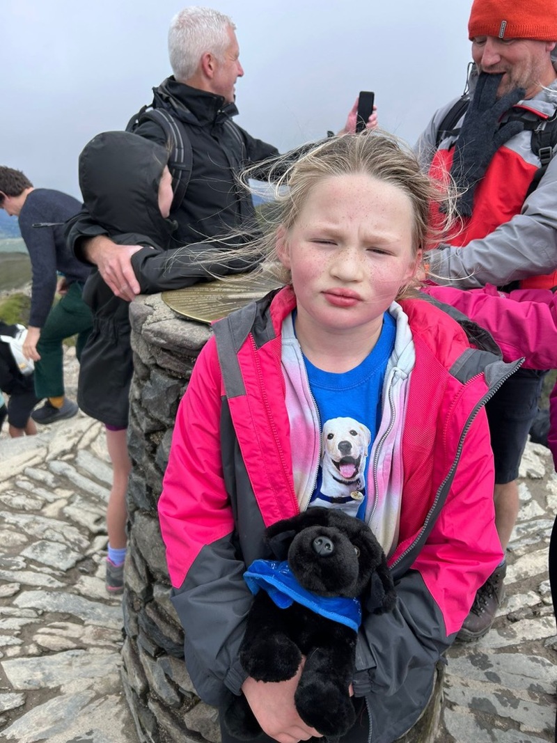 Main image for Youngster scales new heights for charity