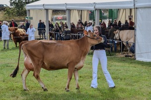 Main image for Thousands enjoy ‘celebration of farming’ at premier show